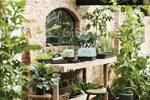 green basics grow tray s living black